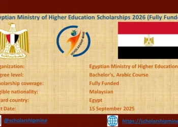 Egyptian Ministry of Higher Education Scholarships 2026 (Funded)