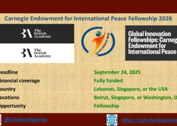Carnegie Endowment for International Peace Fellowship 2026