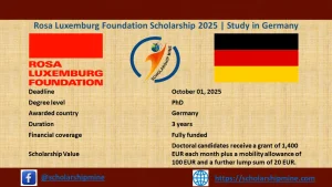 Read more about the article Rosa Luxemburg Foundation Scholarship 2025 in Germany (Fully funded)
